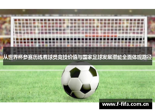 从世界杯参赛历练看球员竞技价值与国家足球发展潜能全面体现路径